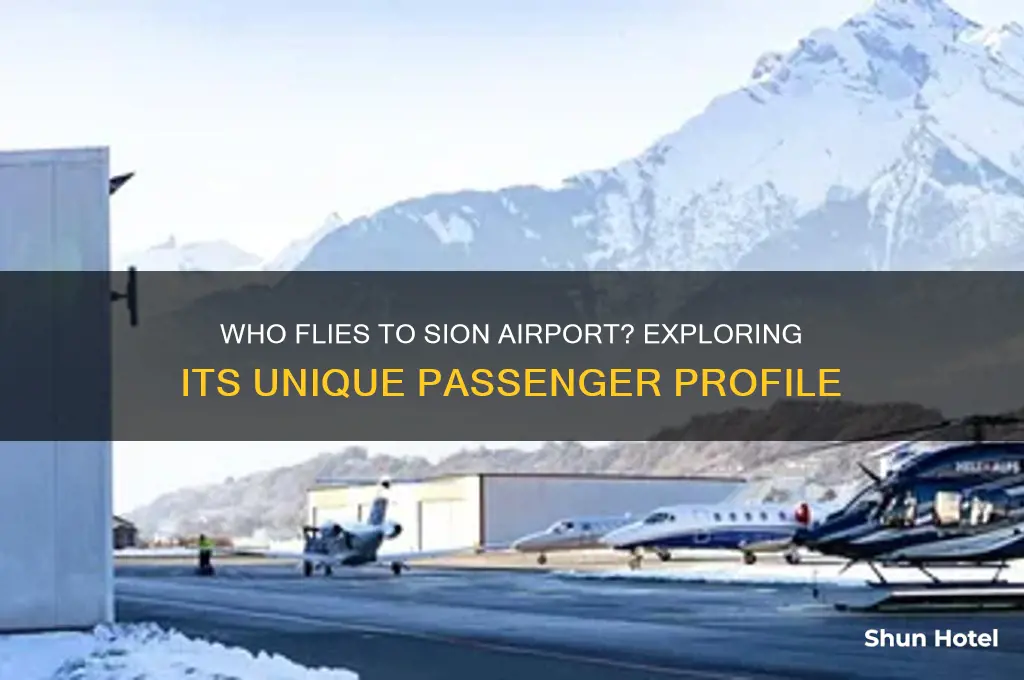 who flies to sion airport