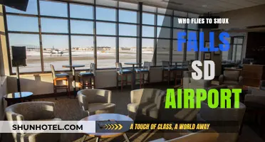 Who Flies to Sioux Falls SD Airport? A Passenger Breakdown