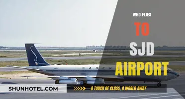 Who Flies to SJD Airport? Exploring Los Cabos' Top Travelers
