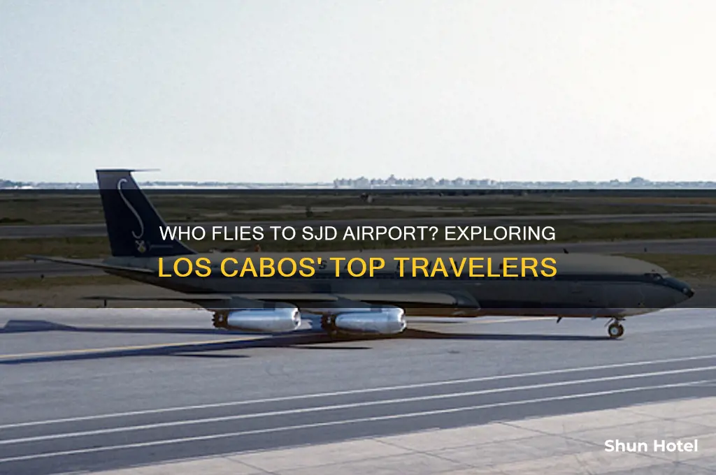 who flies to sjd airport