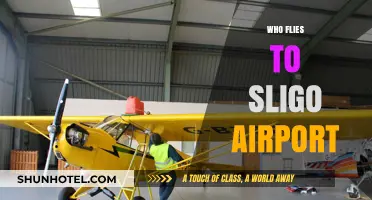 Discovering Sligo Airport: Who Flies In and Why?