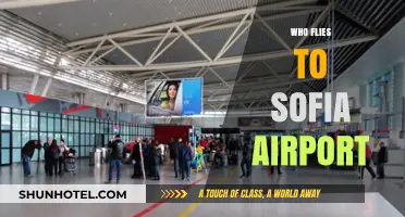 Discovering Sofia Airport's Diverse Passenger Base: Who Flies In?