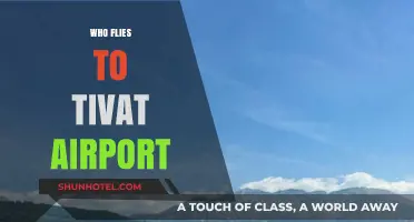 Discovering Tivat Airport: Who Flies In and Why It's Popular