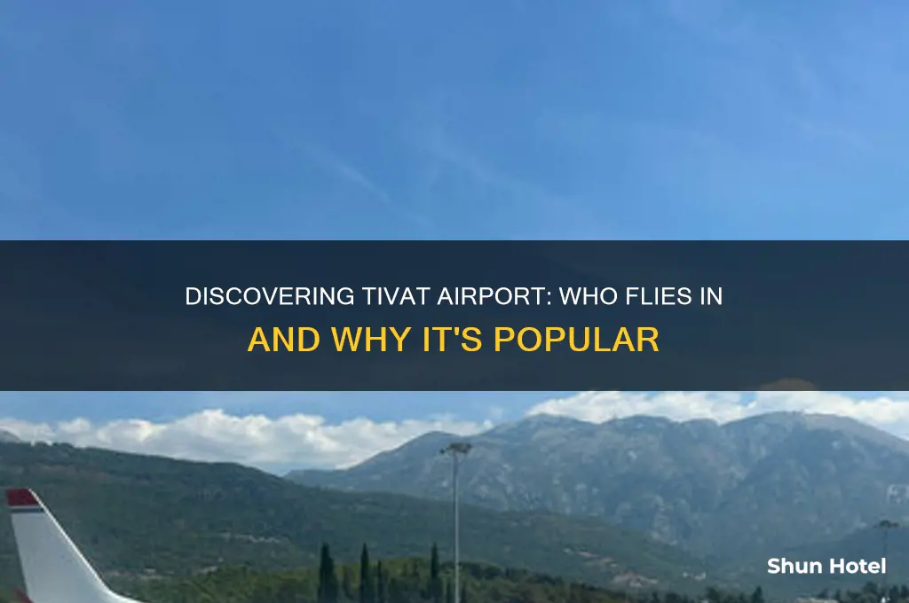 who flies to tivat airport