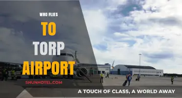 Who Flies to Torp Airport? Exploring Its Key Airlines and Passengers