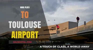 Discovering Toulouse: Who Flies to Its Airport and Why