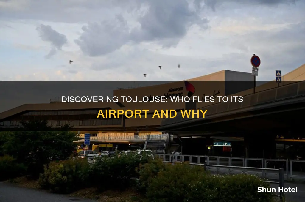 who flies to toulouse airport