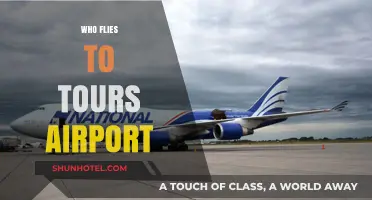 Discovering Tours Airport: Who Flies In and Why It Matters