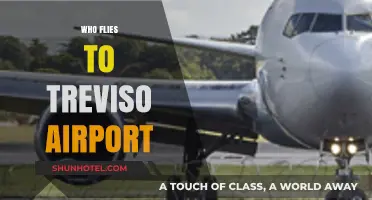 Who Flies to Treviso Airport? Travelers, Routes, and Airlines Explained