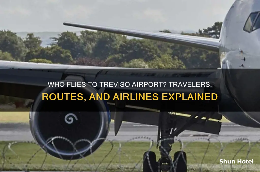 who flies to treviso airport
