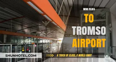 Who Flies to Tromsø Airport? Exploring Travelers and Airlines