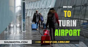Who Flies to Turin Airport? Exploring Passenger Demographics and Trends