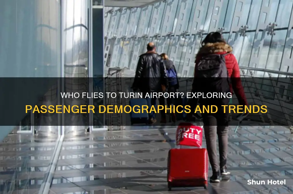 who flies to turin airport