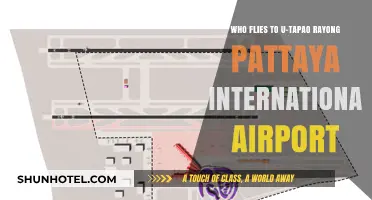 Discovering Travelers: Who Flies to U-Tapao Rayong Pattaya Airport?