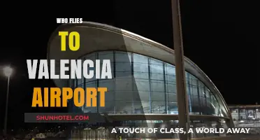 Discovering Valencia: Who Flies to Its Airport and Why