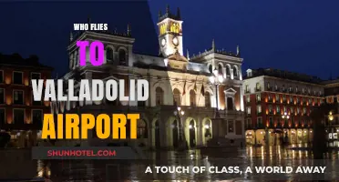 Discovering Valladolid Airport: Who Flies In and Why It Matters