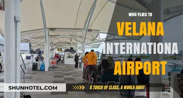 Discovering Travelers: Who Flies to Velana International Airport?