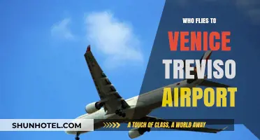 Who Flies to Venice Treviso Airport? A Comprehensive Guide