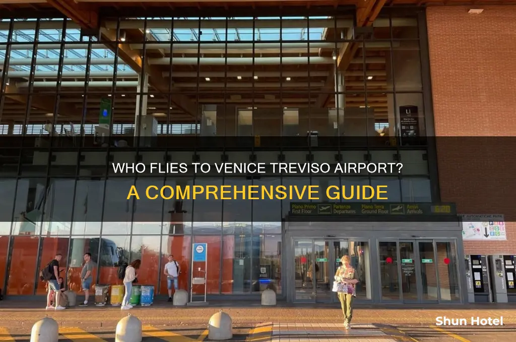 who flies to venice treviso airport
