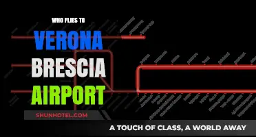 Discovering Verona Brescia Airport's Key Passengers and Popular Routes