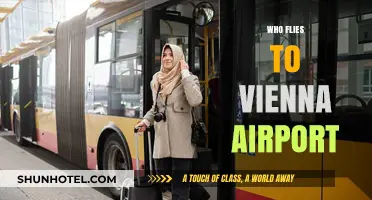 Discovering Vienna Airport's Diverse Passenger Base: Who Flies In?