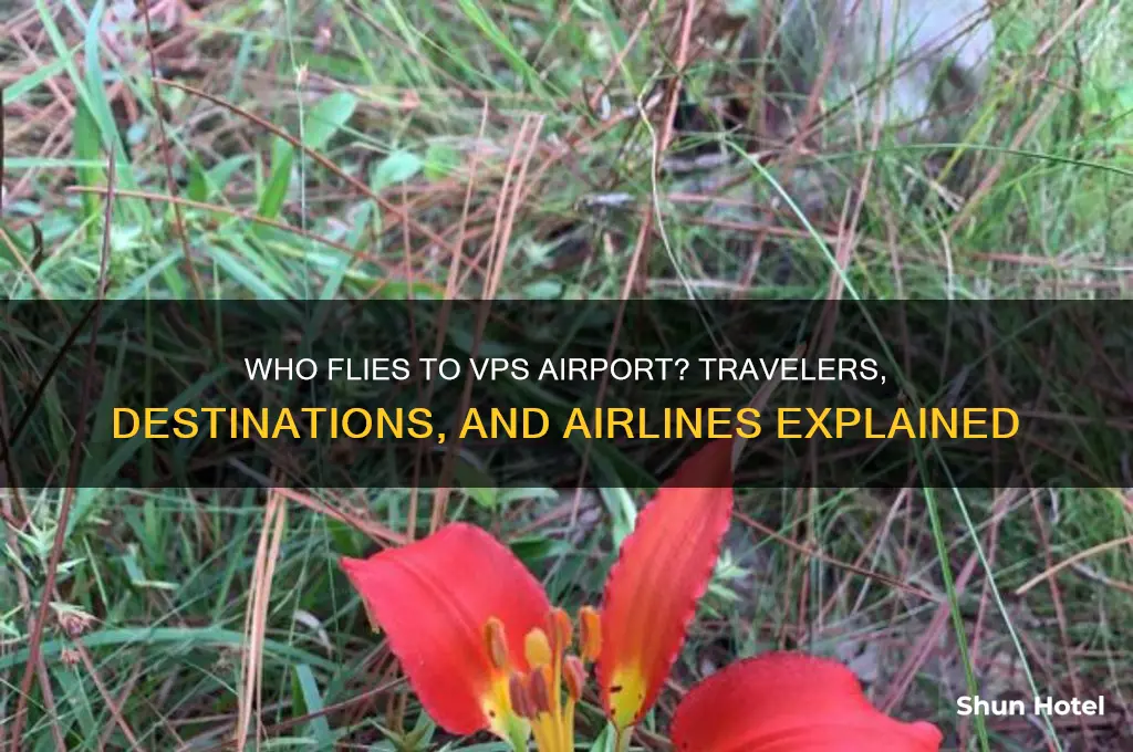who flies to vps airport