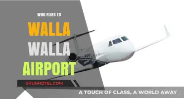 Who Flies to Walla Walla Airport? Exploring Passenger Trends