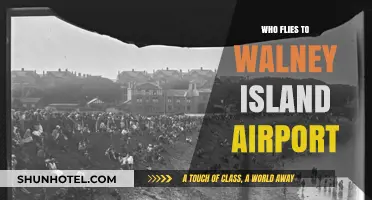 Who Flies to Walney Island Airport? Exploring Its Unique Visitors