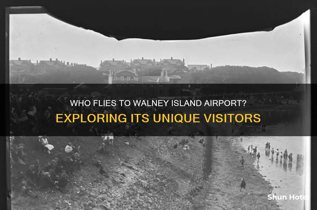 who flies to walney island airport