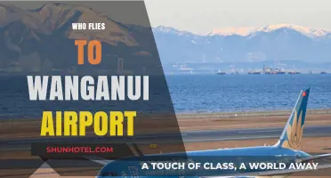 Who Flies to Wanganui Airport? Exploring Passenger Trends and Routes