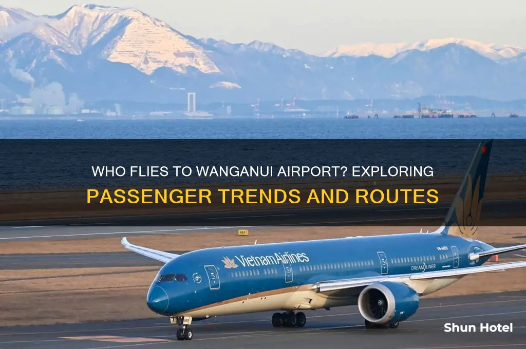 who flies to wanganui airport