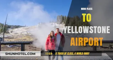 Who Flies to Yellowstone Airport? Exploring Visitors and Travel Trends