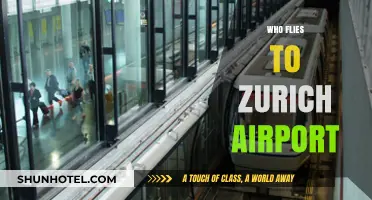 Discovering Zurich Airport's Diverse Passenger Profile and Travel Trends