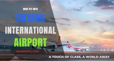 Who Flies into Daxing International Airport: A Comprehensive Guide
