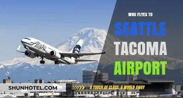 Airlines Flying to Seattle-Tacoma: Comprehensive Guide