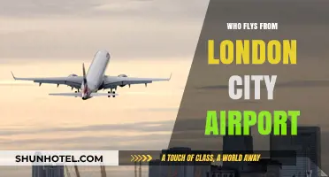 London City Airport: Who Flies This Route?