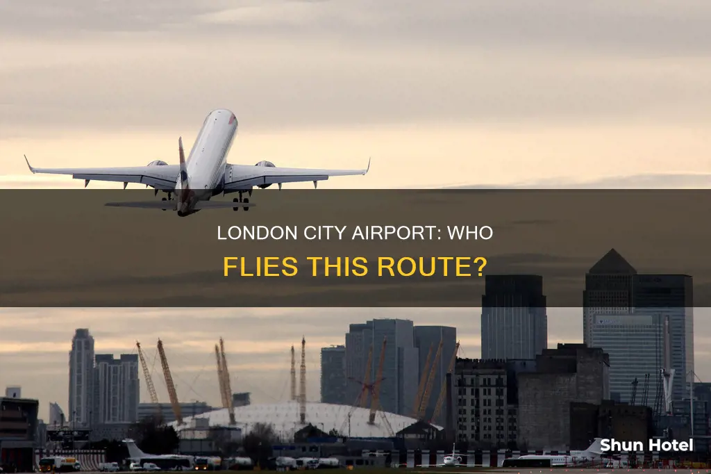 who flys from london city airport