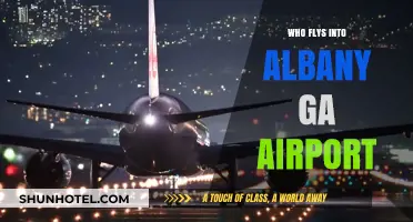 Albany GA Airport: Who Flies Here?