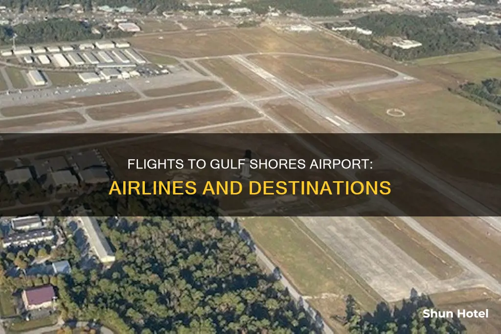 who flys into gulf shores airport