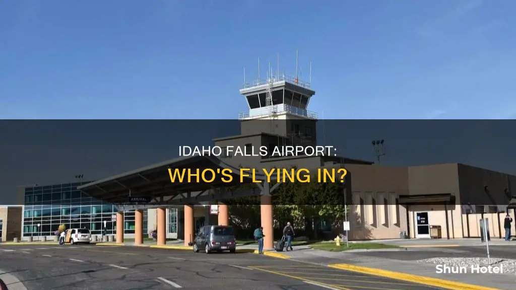 who flys into idaho falls airport