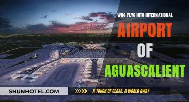 Discover Airlines Serving Aguascalientes International Airport: A Comprehensive Guide