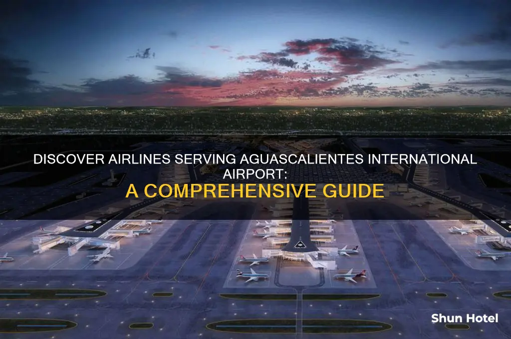 who flys into international airport of aguascalientes