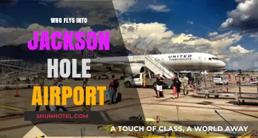 Jackson Hole Airport: Who Flies Here?