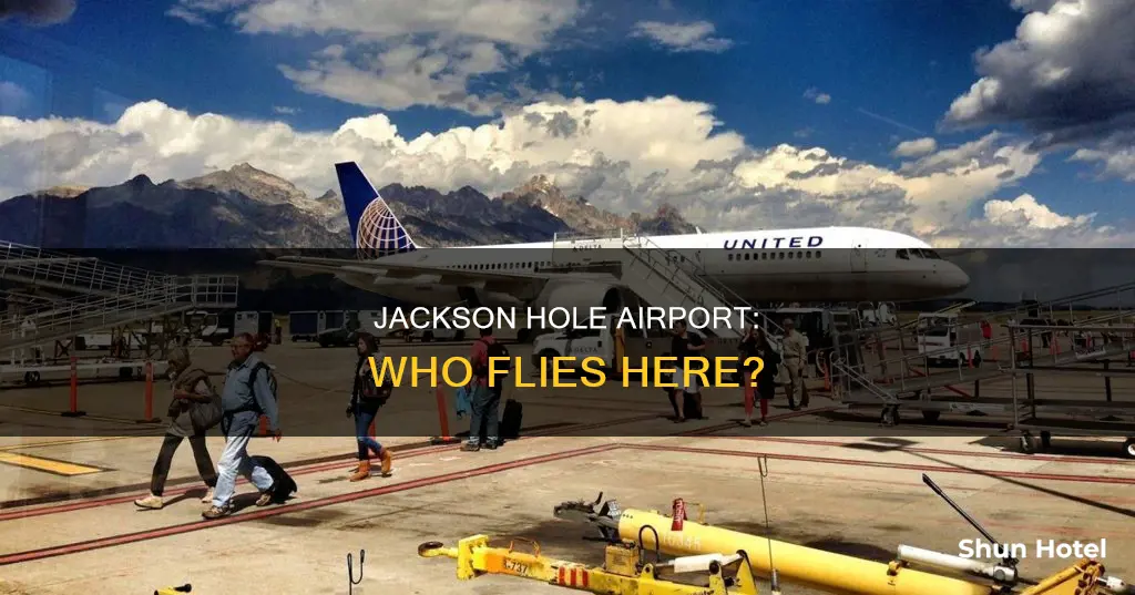 who flys into jackson hole airport