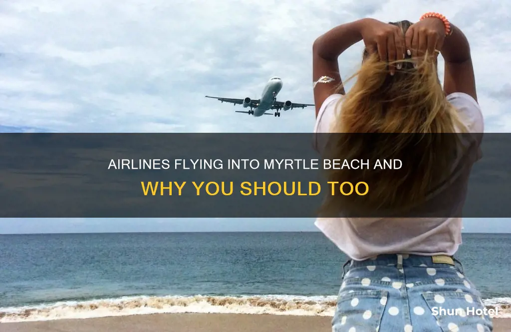 who flys into myrtle beach airport