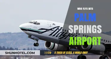 Airlines Flying into Palm Springs Airport: The Complete Guide