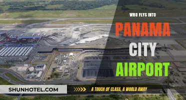Travelers' Guide: Who Flies into Panama City Airport?