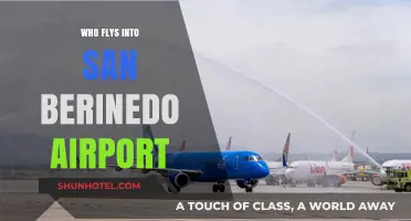 San Bernardino Airport: Who's Flying In?