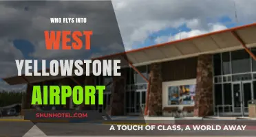 Yellowstone Airport: Who Flies Here and Why