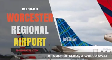 Worcester Regional Airport: Who's Flying In?